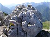 Mountain hut on farm Kumer - Govca (Olševa)